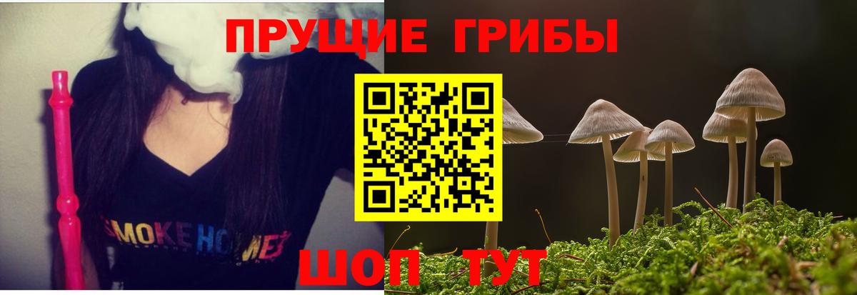 Галлюциногенные грибы Cubensis  наркошоп  Острогожск  Галлюциногенные грибы Cubensis  Вход с VPN 